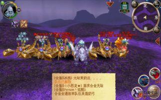 刺客公会,暗影中的传奇组织