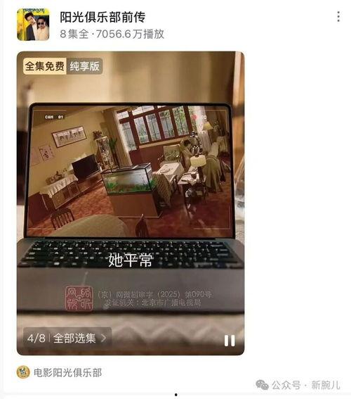 阳光俱乐部前传,辉煌背后的秘密岁月