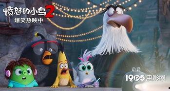 眼泪女王之逃笼鸟